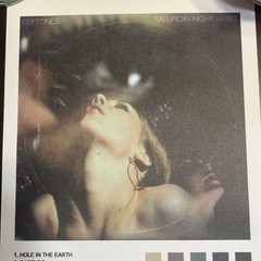 Deftones Saturday Night Wrist Album Cover 8” X 12” Canvas Vinyl Print