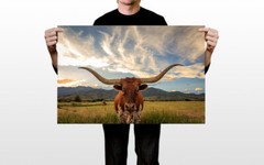 Longhorn Texas Landscape Canvas D?cor Art Print Room – POSTER 20×30