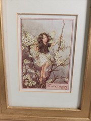 2 Vintage Fairy Framed Art Print by Cicely Mary Barker Wood Gold Frame 8×10 1/2