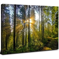 Green Forest Wall Art for Living Room Wall Decor Mountain Landscape Canvas Pictu