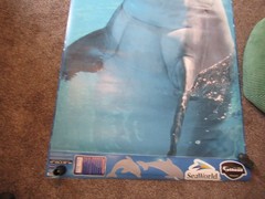 Real Big Fathead Dolphin Seaworld wall poster Large 48×72″ 4×6′