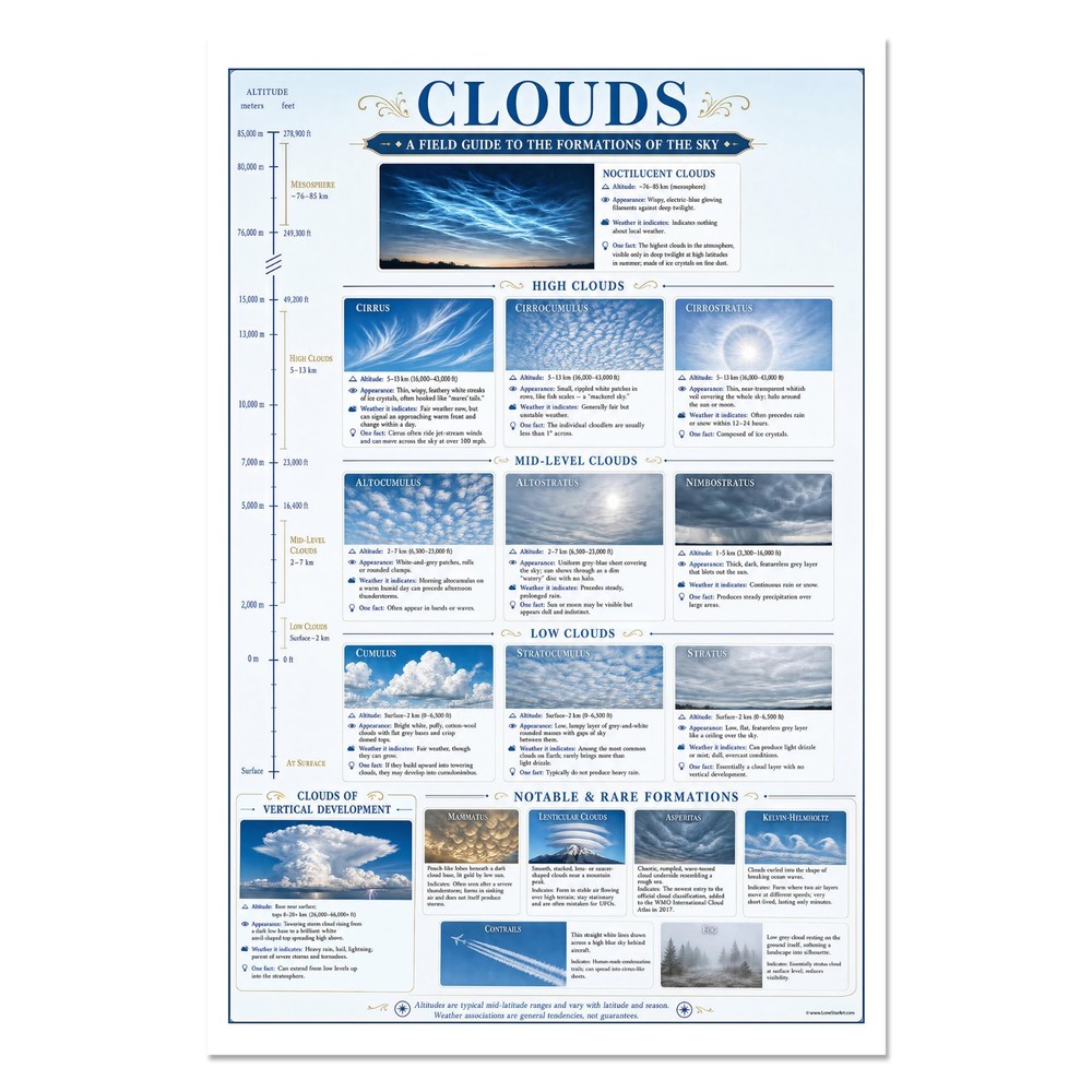 Cloud Identification Unframed Poster 24×36 – Weather Reference Chart