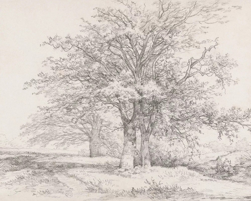 Vintage Oil Painting Tree Sketch Art on Canvas Wall Decor