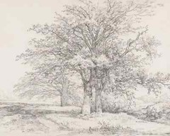 Vintage Oil Painting Tree Sketch Art on Canvas Wall Decor