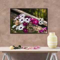 African Daisy Botanical Wall Art Poster – Floral Home Decor Print Unframed