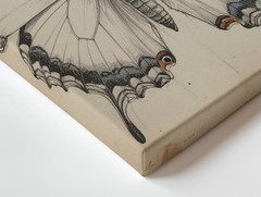 Wall Art Canvas a Detailed Monochrome Sketch of a Butterfly Drawn with Precise