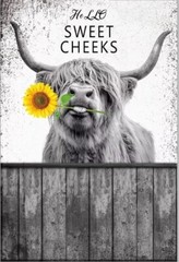 Frameless Highland Cow Bathroom Decor Wall Art Hello Sweet Cow Poster 16″x24″