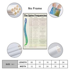 The Spine Frequencies Poster Science Education Canvas Wall Art Aesthetic Deco…