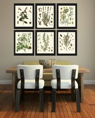 Herbs Spices Prints Wall Art Set 6 Beautiful Botanical Kitchen Dining Unframed