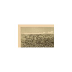 Historic Panoramic View – Elizabeth Pennsylvania – Fowler 1897 – Vintage Wall