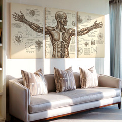 3 Pieces Anatomical Sketch Vintage Scientific Large Wall Art Canvas Set Of 3
