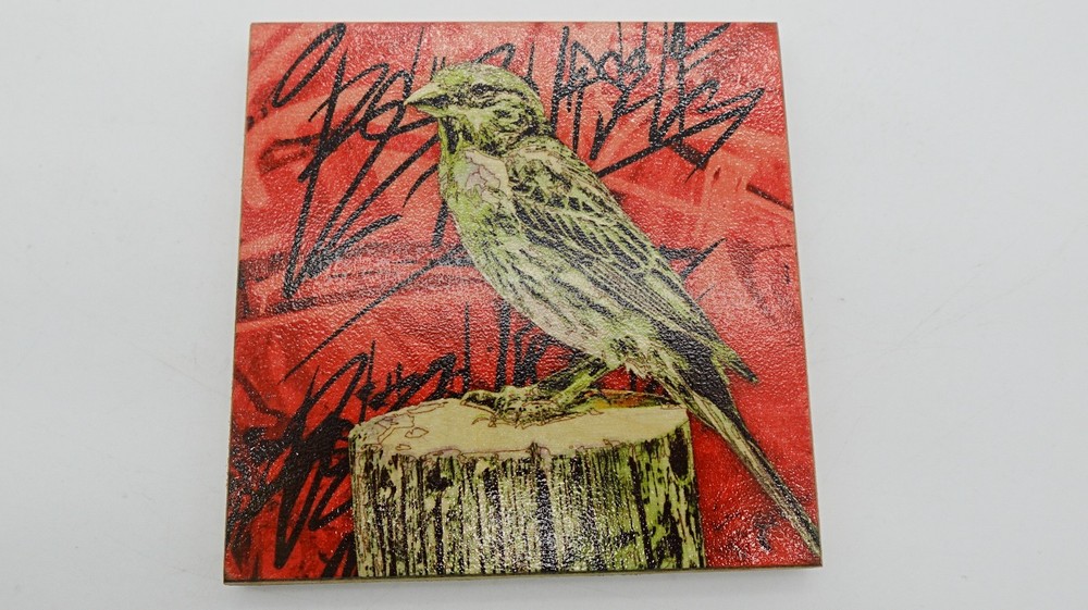 Urban Finch 5×5 Signed Art Distressed Graffiti Bird Illustration Plywood