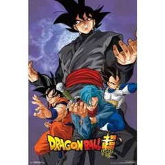 Funimation Dragon Ball Z Super – Villian poster 34 x 22″ RP15458 – Sealed P230