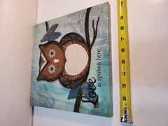 Owl Canvas Artwork picture Love is spoken here Aqua Brown Hanging 10×10 Inch