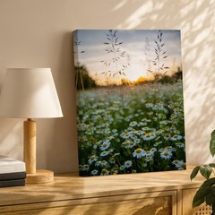 Serene Field Of White Daisies With Vibrant Yellow Centers Stretches Wall Art