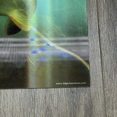 3D Art Wildlife Hologram Lenticular Poster Fish Pike Musky Place Mat 17”x11”