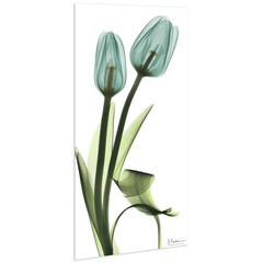 Blue Tulips Frameless Reverse Printed Tempered Glass Wall Art, X-ray Flower W…