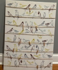 IKEA Pjatteryd Canvas Picture Of Birds In Hangers PSZ 19 3/4 X 27 1/2