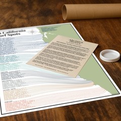 111 California Surf Spots Map Coastal Wave Guide Modern Surf Wall Art