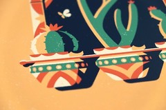 DKNG Veracruz (11″x14″ Southwestern/Mexico Cactus Silkscreen Print/Poster)