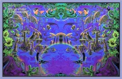 Octopus Garden Non-Flocked Blacklight Poster 24″ X 36″