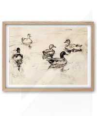 Natural OAK Wood Cute Framed Wall Art, 12x16in Vintage Ducks Sketch Canvas Pr…