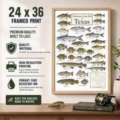 Texas Freshwater Fish Framed Poster 24×36 – Fishing Species Chart