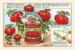 Tomate (Tomatoes) M. Halle Poster Print