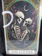 Sapna Shah The Lovers Skeleton Tarot Framed Wall Art Black Ornate Frame New
