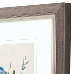 Swatland 2 Piece Framed Canvas Transfer Animal Art Print 11 In. X 9 In.