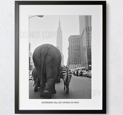 Circus Animals on 33rd Street New York City Iconic Photos 1900s Art Print