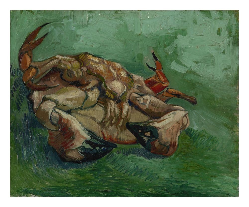Vincent van Gogh Crab on Its Back : Archival Quality Giclée Art Print 1889