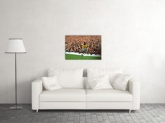 Pele Brazilian Football Player Jersey Goat Wall Art Home Decor – POSTER 20″x30″