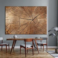 Wood Texture Wall Decor, Tree Ring Canvas, Wood Crack Abstract Canvas Print