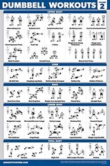Palace Learning 4 Pack – Dumbbell Workout Posters Volume 18″ x 24″, LAMINATED