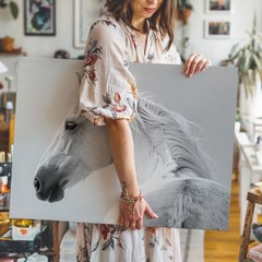 Elegant White Horse Canvasminimalist High-Contrast Horse Portrait Art Wall Art
