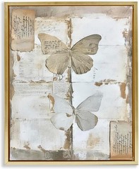 Stupell Industries Vintage Butterfly Collage Framed Floater Canvas Wall 17×21
