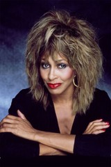 Tina Turner Posing American Musican Singer Wall Art Home Decor – POSTER 20″x30″
