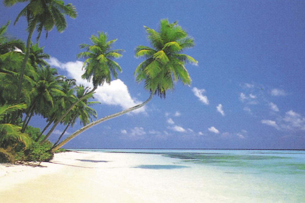 Poster Studio B – Maldive Morning Beach Ocean Sand 24×36″ NEW Wall Art CJ2834