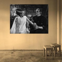 63191 Bride of Frankenstein Retro Wall Decor Print Poster