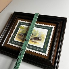 Framed Wood Duck Migratory Bird Hunting Conservation Stamp Print 2007-2008 Art
