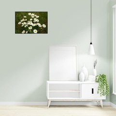 White Daisy Flower Art Print – Minimalist Botanical Wall Decor Unframed