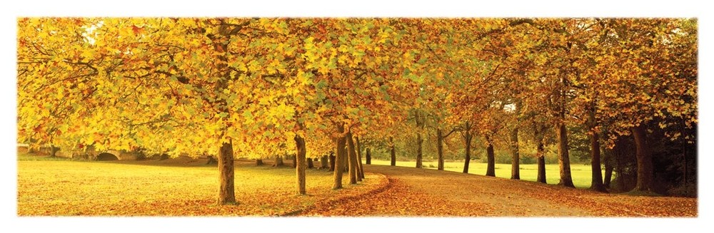 12×36 Poster Print Slim Autumn Leaves Loire Valley 36L» x 12W»