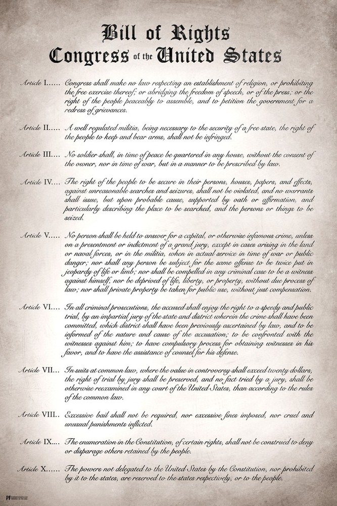 Bill of Rights The United States of America Historical Document Poster 12×18