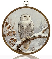 Owl Wall Art Decor, Vintage Snowy Forest Wildlife Round Hanging Artwork, Rust…