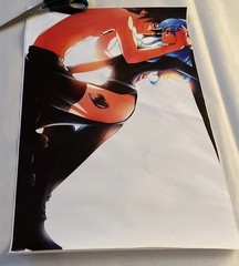 Seductive Fairy Tale Anime Wall Canvas Print 12’’ X 18’’