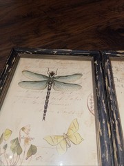 Nature Botanical Rustic Framed Prints Set Of 3 WallArt DragonflyButterflyInsects