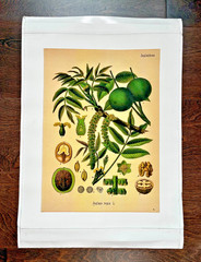 Vintage Botanical Floral Canvas Prints Set of 2 Unframed Orange Walnut 16″ x 20″