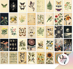 Vintage Wall Collage Kit – Mini Posters For Room Aesthetic, Cottage Core Wall…