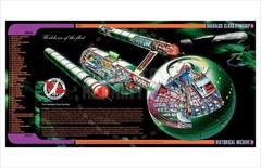 TELEVISION – STAR TREK – DAEDALUS CLASS STARSHIP POSTER – VINTAGE REPRINT